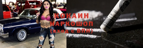 прущие грибы Надым
