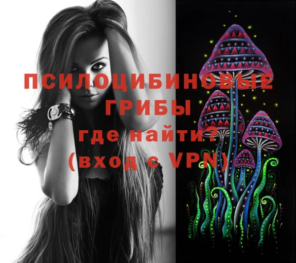 гашик Нефтегорск