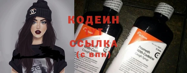 прущие грибы Надым