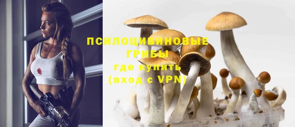 сатива Наволоки