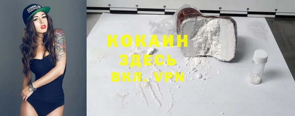 прущие грибы Надым