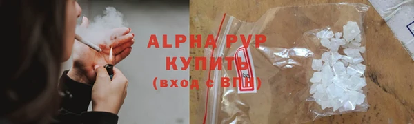 прущие грибы Надым