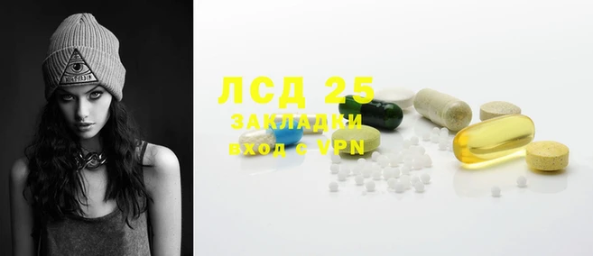 прущие грибы Надым