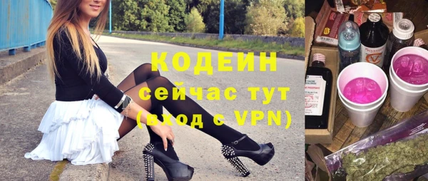 прущие грибы Надым