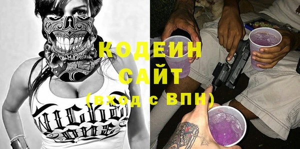 прущие грибы Надым