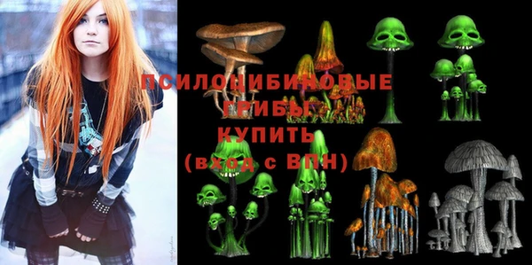 тгк Навашино