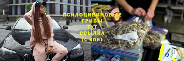 прущие грибы Надым